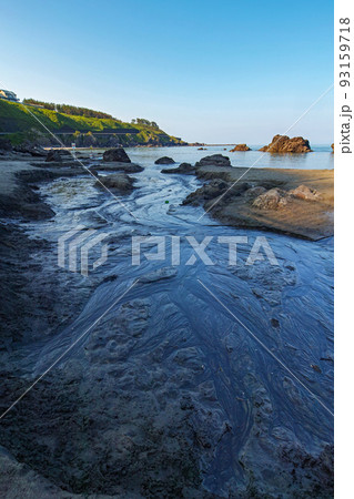 山形県/ 「釜磯の湧水」国内でも非常に珍しい海岸に沸く多くの湧水が海に流れ込む様子を見られるスポット 93159718