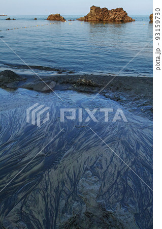 山形県/ 「釜磯の湧水」国内でも非常に珍しい海岸に沸く多くの湧水が海に流れ込む様子を見られるスポット 山形県/ 「釜磯の湧水」国内でも非常に珍しい海岸に沸く多くの湧水が海に流れ込む様子を見られるスポット 93159730