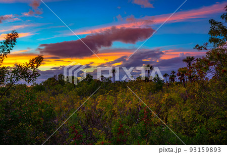 Colorful sunset over Everglades National Park in Florida 93159893