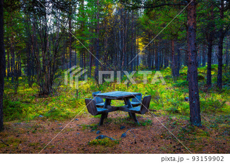 Wooden picnic table in a forest Wooden picnic table in a forest 93159902
