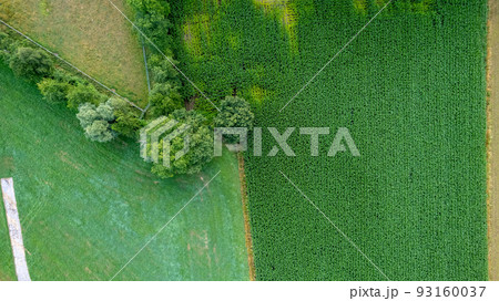 Aerial view drone shot of fresh green field in Spring near Turnhout by Antwerp, Belgium with road Aerial view drone shot of fresh green field in Spring near Turnhout by Antwerp, Belgium with road 93160037
