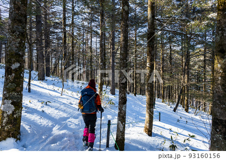 冬の登山道を行く登山者 93160156