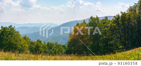 carpathian mountain landscape in early autumn. beautiful view in to the distant svydovets ridge. beech trees on the hill. cumulus clouds on the sky. dry and sunny weather carpathian mountain landscape in early autumn. beautiful view in to the distant svydovets ridge. beech trees on the hill. cumulus clouds on the sky. dry and sunny weather 93160358