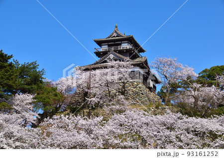 桜景　丸岡城 93161252