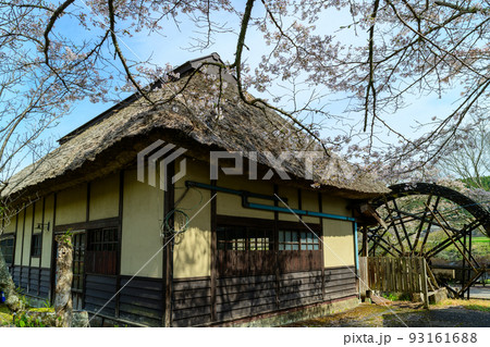 さくら咲く季節 道の駅 原尻の滝(水車小屋)「観光名所・旅行」大分県豊後大野市 さくら咲く季節 道の駅 原尻の滝(水車小屋)「観光名所・旅行」大分県豊後大野市 93161688