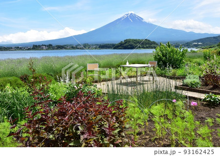 富士河口湖町 大石公園の河口湖自然生活館散策路と富士山 富士河口湖町 大石公園の河口湖自然生活館散策路と富士山 93162425