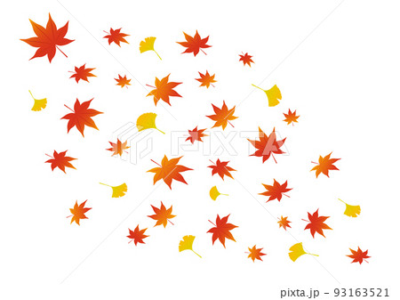 葉吹雪_紅葉_もみじ_イチョウ 93163521