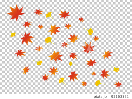 Leaf blizzard _ autumn leaves _ maple _ ginkgo 93163521