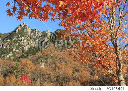 瑞牆山と紅葉 みずがき山自然公園からの眺め 山梨県 瑞牆山と紅葉 みずがき山自然公園からの眺め 山梨県 93163601