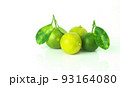 Fresh organic Calamansi lime on white background. 93164080
