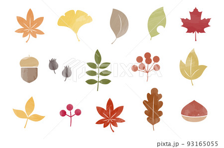 秋の葉っぱと木の実の水彩風セット 93165055