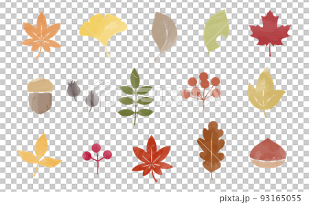 秋の葉っぱと木の実の水彩風セット 93165055