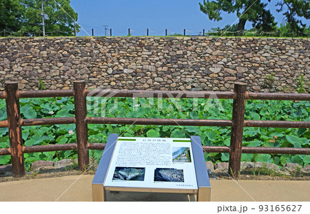 中津城石垣が見える中津市歴史博物館 93165627