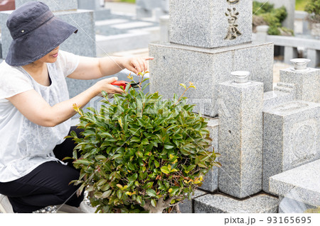 お墓参りに来て、植木の手入れをしている中高年女性 お墓参りに来て、植木の手入れをしている中高年女性 93165695