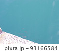 小魚 93166584