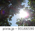 眩しい 93166590