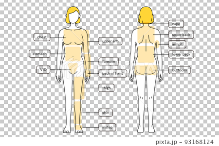 女性の脱毛イラスト　全身 93168124