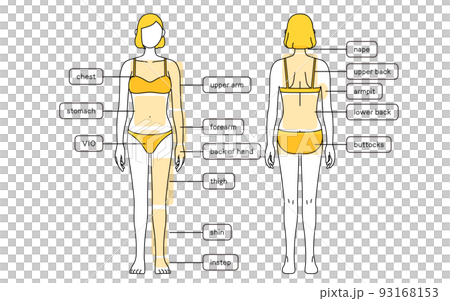 Female hair removal illustration whole body 93168153