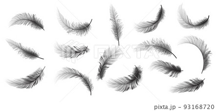 Big Set of Black Realistic Different Fluffy Twirled Falling Feathers Isolated on White Background. Design Template. Vector illustrtion Big Set of Black Realistic Different Fluffy Twirled Falling Feathers Isolated on White Background. Design Template. Vector illustrtion 93168720