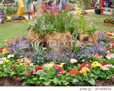 SELANGOR, MALAYSIA -JULY 2, 2022: Various species of tropical flowers are planted in a flower garden. The flowers are arranged and mixed according to the design and theme. 93169859