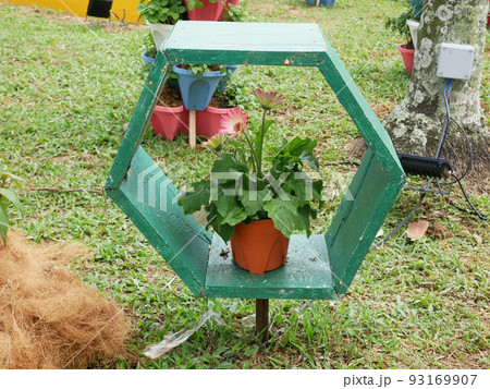 SELANGOR, MALAYSIA -JULY 2, 2022: Various species of tropical flowers are planted in a flower garden. The flowers are arranged and mixed according to the design and theme. SELANGOR, MALAYSIA -JULY 2, 2022: Various species of tropical flowers are planted in a flower garden. The flowers are arranged and mixed according to the design and theme. 93169907