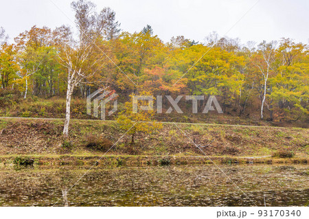 秋の志賀高原 紅葉の蓮池 秋の志賀高原 紅葉の蓮池 93170340
