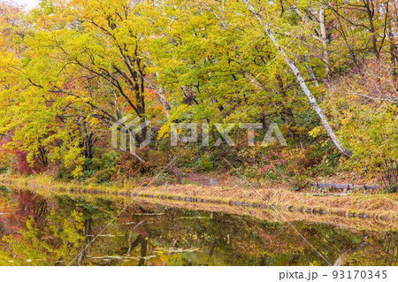 秋の志賀高原　紅葉の蓮池 93170345