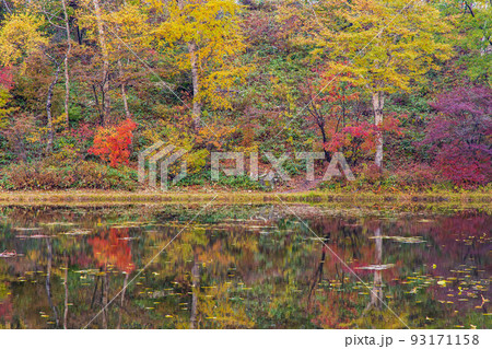 秋の志賀高原　紅葉の蓮池 93171158