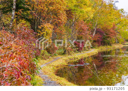 秋の志賀高原　紅葉の蓮池 93171205