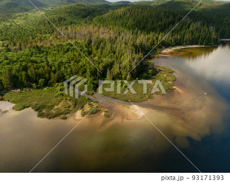 Sandy beach on the lake with green trees. Canadian Nature Background. 93171393