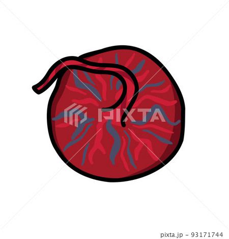 placenta doodle icon, vector color line illustration 93171744