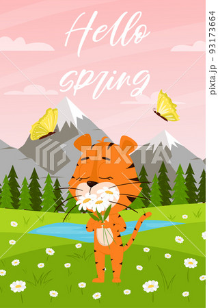 Cute cartoon tiger sniffs chamomile flowers on background of summer landscape with forest and mountains.Vertical rectangular card with an adorable character.Hello spring. Color vector illustration. 93173664