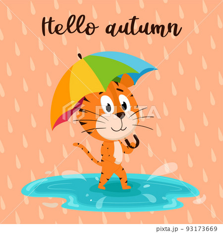 Cute cartoon tiger walks with umbrella through a puddle. Background of raindrops and the inscription Hello autumn. A card with an adorable character. Color vector illustration on a colored background. 93173669