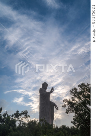 茨城県牛久市 夏の早朝の牛久大仏 茨城県牛久市 夏の早朝の牛久大仏 93175021