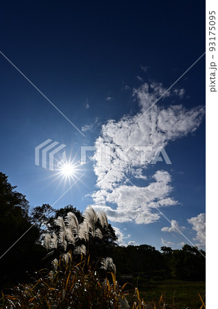 有馬富士公園より 有馬富士公園より 93175095