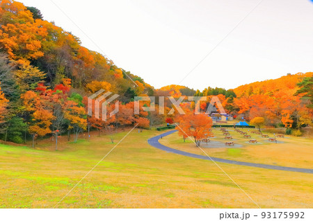 紅葉の水の森公園 93175992