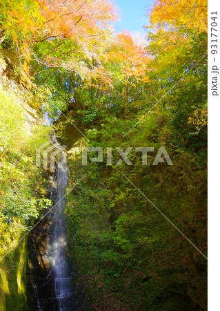 紅葉の養老渓谷　金神の滝　Ver2 93177041