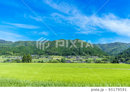 京都府・田園風景 93179591
