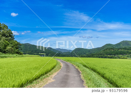 京都府・田園風景 京都府・田園風景 93179596