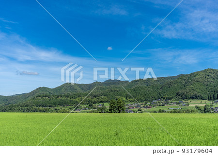 京都府・田園風景 93179604