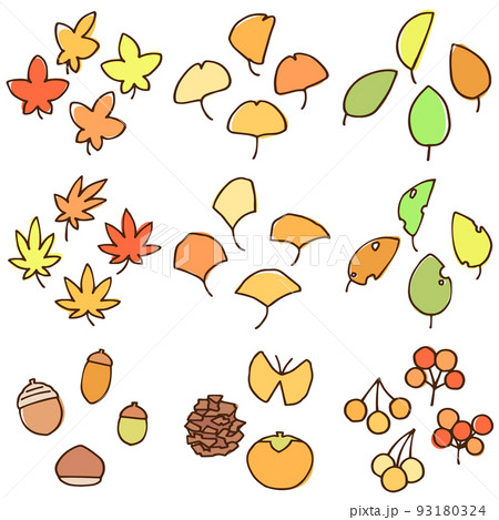 カットイラスト 秋の自然セット 手書きのイラスト素材