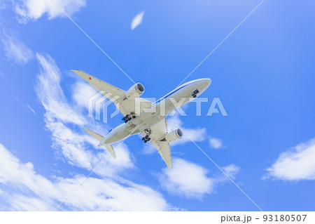 《飛行機》ボーイング Boeing 787-8 Dreamliner（ドリームライナー） 93180507