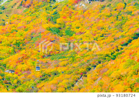 立山ロープウェイ（秋） 93180724