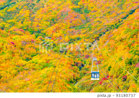 立山ロープウェイ（秋） 93180737