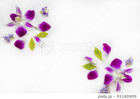 purple flowers orchids arrangement flat lay postcard style purple flowers orchids arrangement flat lay postcard style 93180909