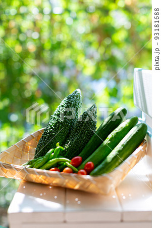 夏野菜 物撮り 夏野菜 物撮り 93181688