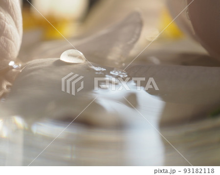 水盆の中のバラと水滴 水盆の中のバラと水滴 93182118