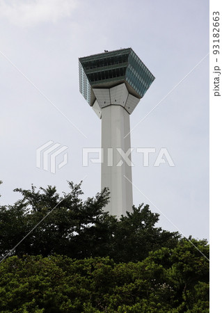 五稜郭タワー 93182663