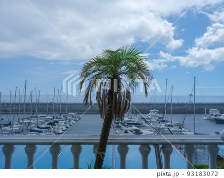 道の駅 伊東マリンタウン　突然の雨 93183072