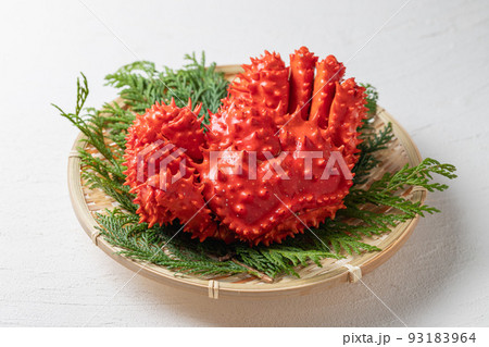 新鮮な花咲ガニ 93183964